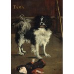 Puzzle   Edouard Manet: Tama: The Japanese Dog, 1875