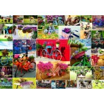 Puzzle  Grafika-F-30056 Collage - Fahrräder
