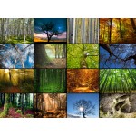 Puzzle  Grafika-F-30066 Collage - Bäume