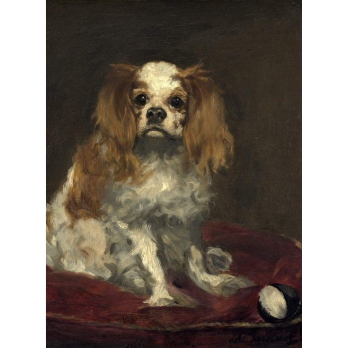 Puzzle Grafika-F-30469 Edouard Manet: A King Charles Spaniel, 1866
