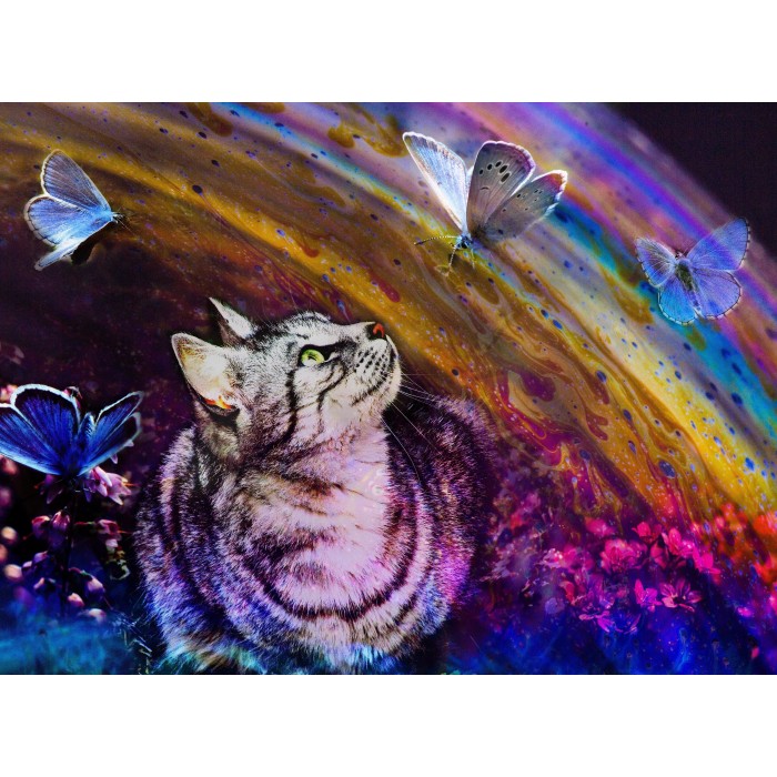 Katze und Schmetterlinge