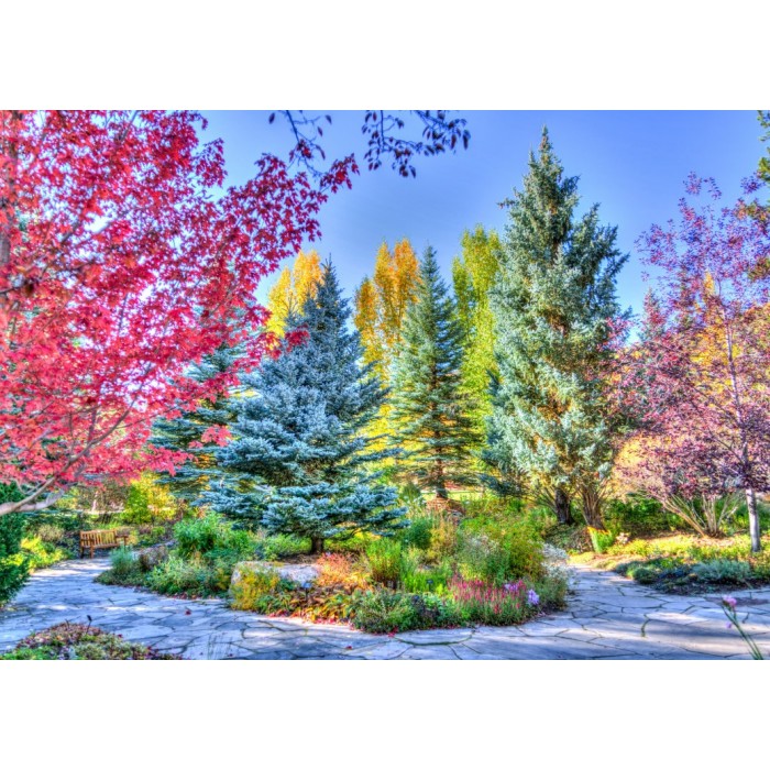 Puzzle Grafika-F-32262 Bunter Wald, Colorado, USA