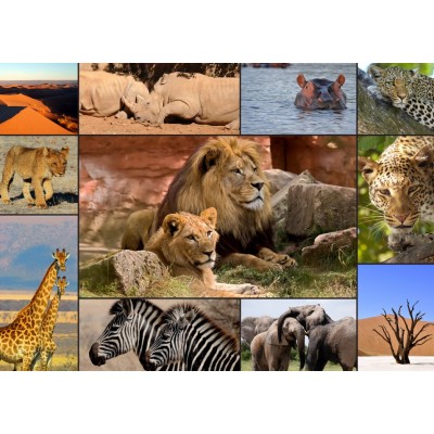 Puzzle Grafika-T-00131 Collage - Wildlife