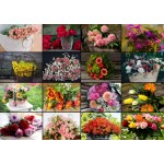 Puzzle  Grafika-T-00521 Collage - Blumen
