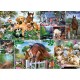 Collage - Animal World
