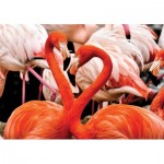 Puzzle   Flamingo Lovers