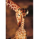 Puzzle   Stunning Giraffes