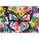 Kunterbunter Schmetterling