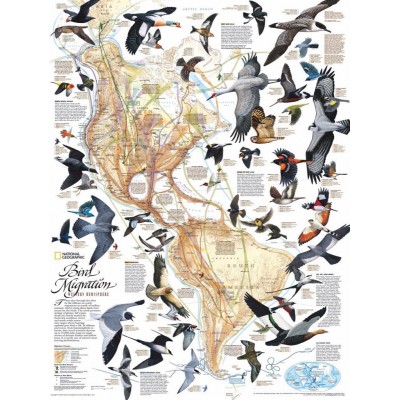 Puzzle New-York-Puzzle-NG1715 Bird Migration
