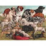Puzzle  New-York-Puzzle-PD1880 Dog Breeds