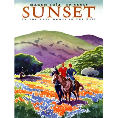 Puzzle New-York-Puzzle-SU2006 XXL Teile - Sunset - Horses in The Hills