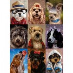 Puzzle   Cute Dogs