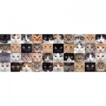 Puzzle  Nova-Puzzle-40007 Katzen-Collage