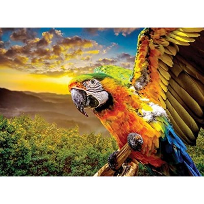 Puzzle Nova-Puzzle-41160 American Parrot