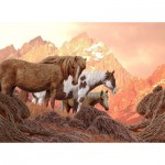 Puzzle   Wild Horses