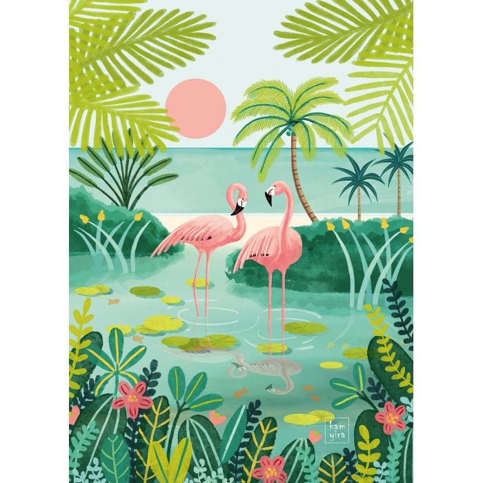 Flamingo